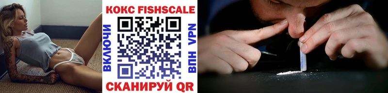 где купить наркоту  Камешково  COCAIN Эквадор 