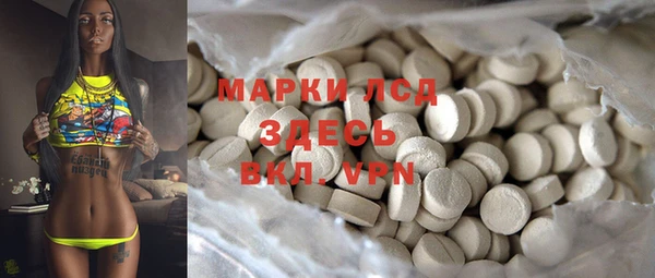 мет Алексин