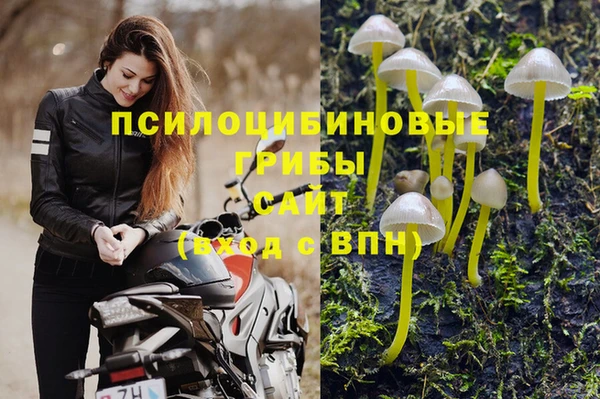 MESCALINE Алзамай