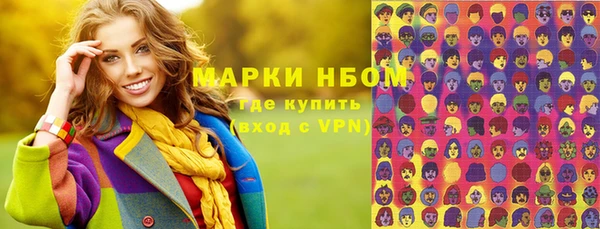 мет Алексин