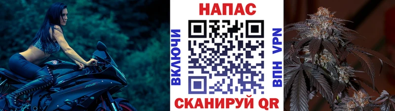 Конопля гибрид  где купить   Камешково 